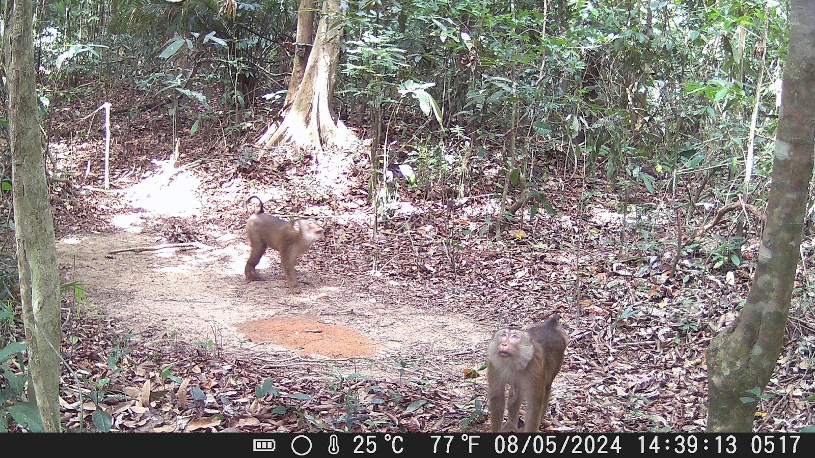 C:\Users\Worawitoo\AppData\Local\Microsoft\Windows\INetCache\Content.MSO\8A0E8C9E.tmp