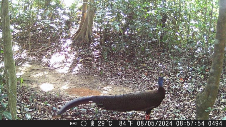 C:\Users\Worawitoo\AppData\Local\Microsoft\Windows\INetCache\Content.MSO\46696F02.tmp