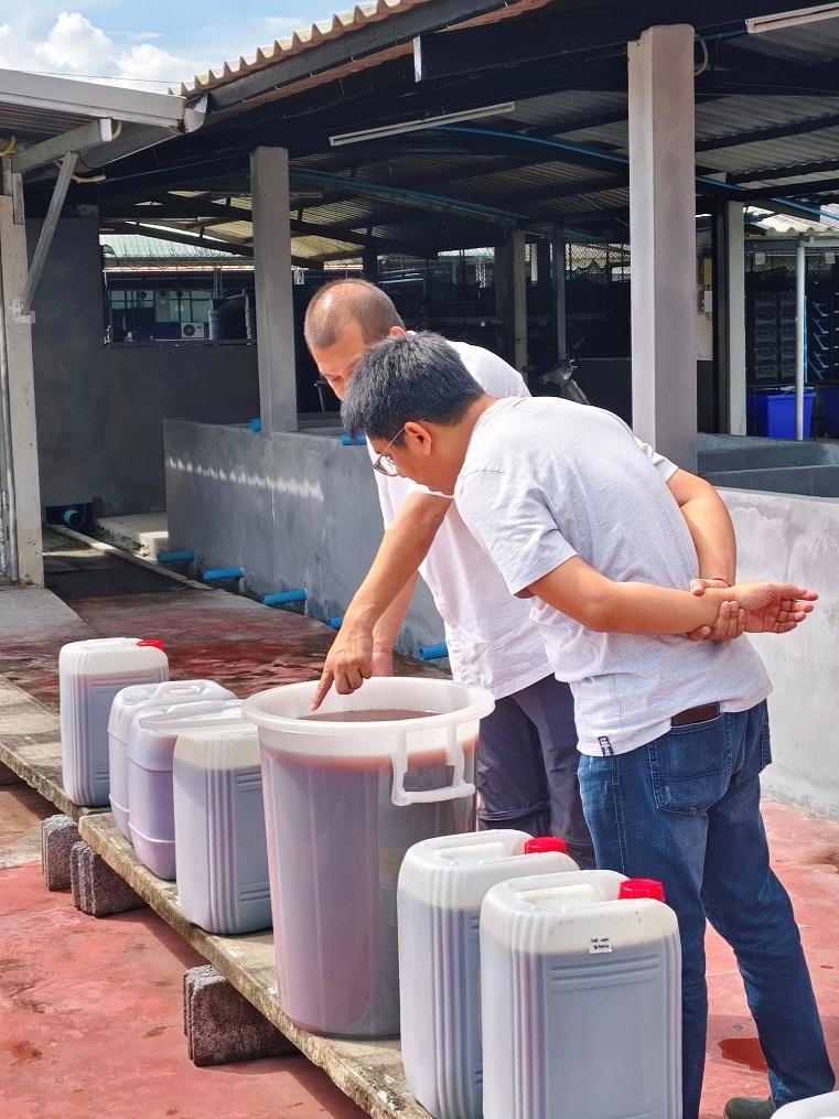 ไม่มีคำอธิบายรูปภาพ