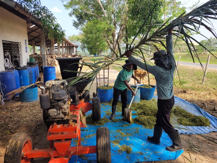 ไม่มีคำอธิบายรูปภาพ