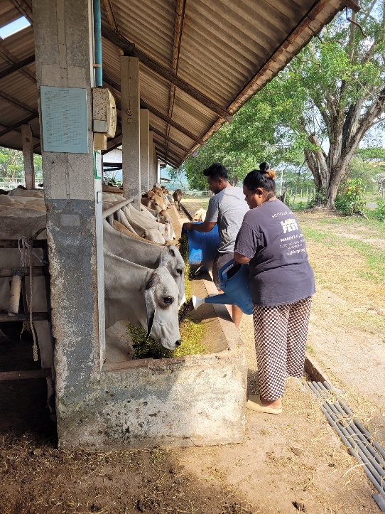 ไม่มีคำอธิบายรูปภาพ