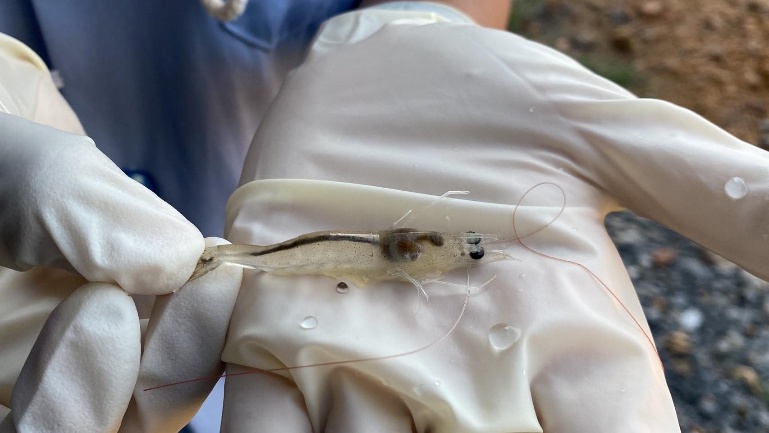 อาจเป็นรูปภาพของ 1 คน