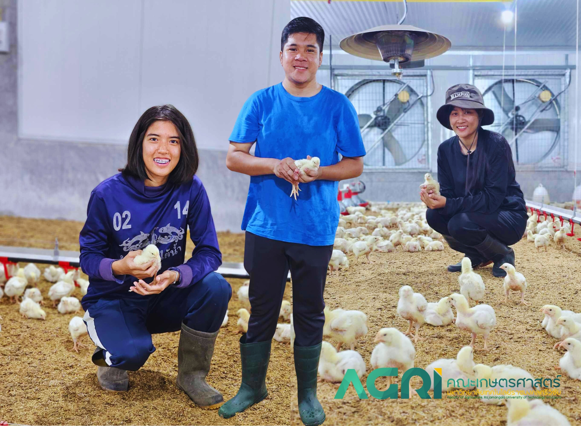 A group of people holding chickens
AI-generated content may be incorrect.