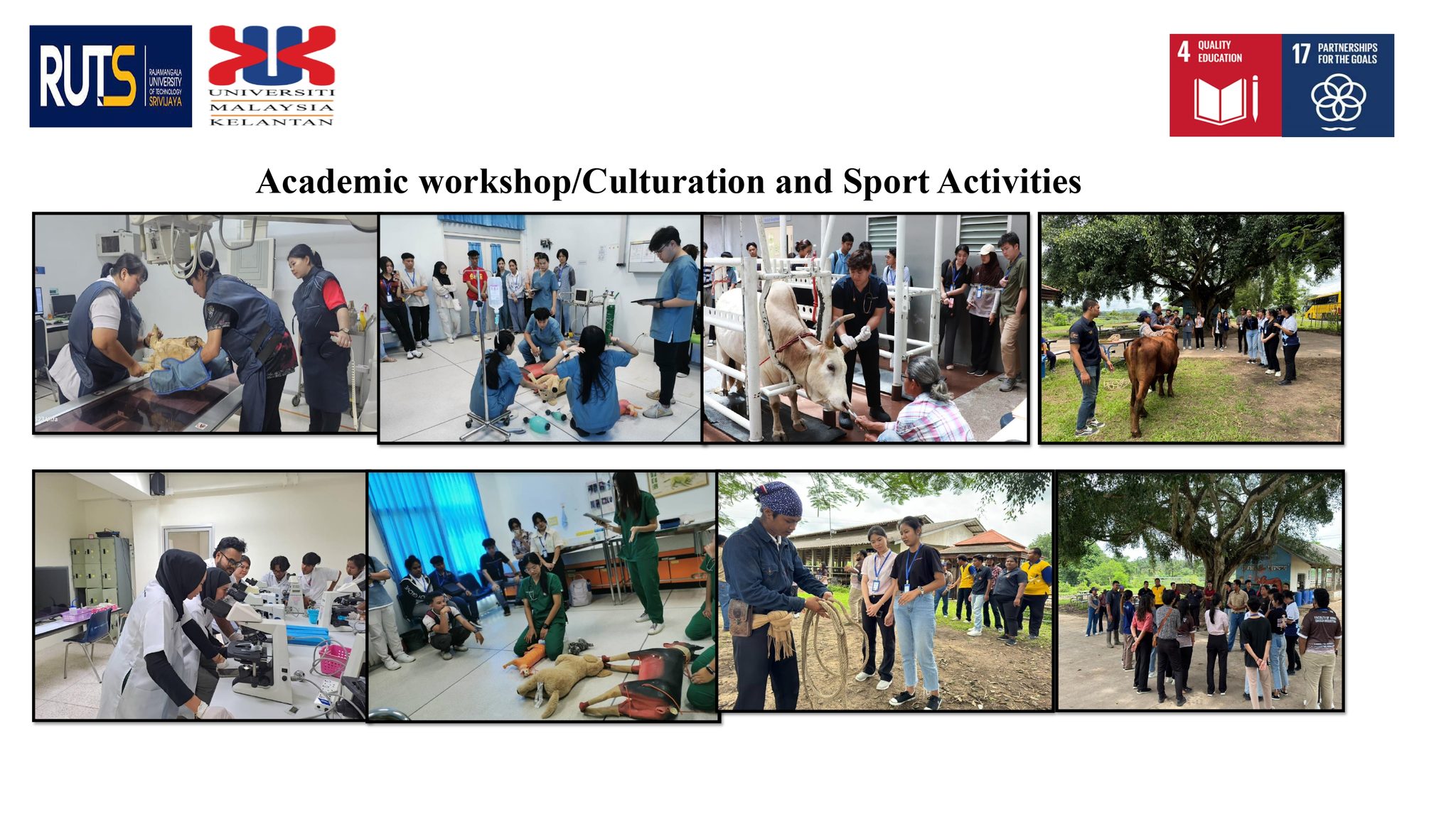 No photo description available.