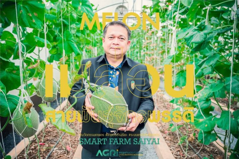 No photo description available.