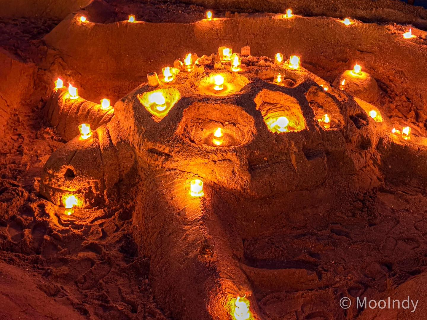 No photo description available.