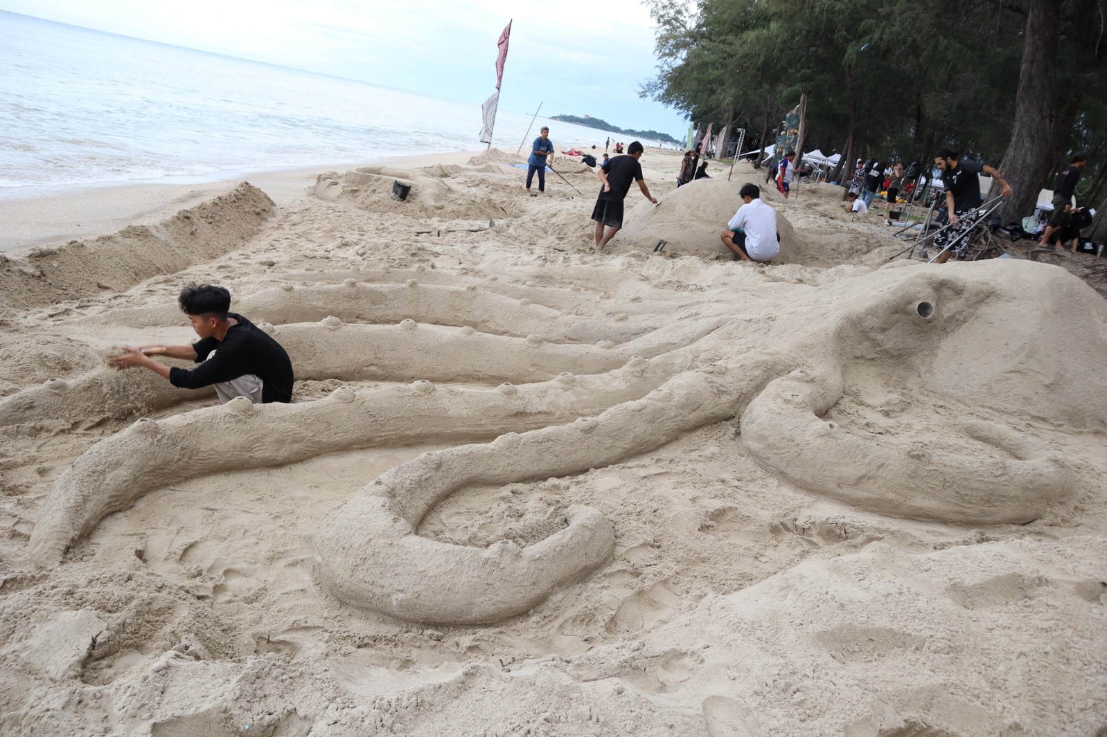 No photo description available.