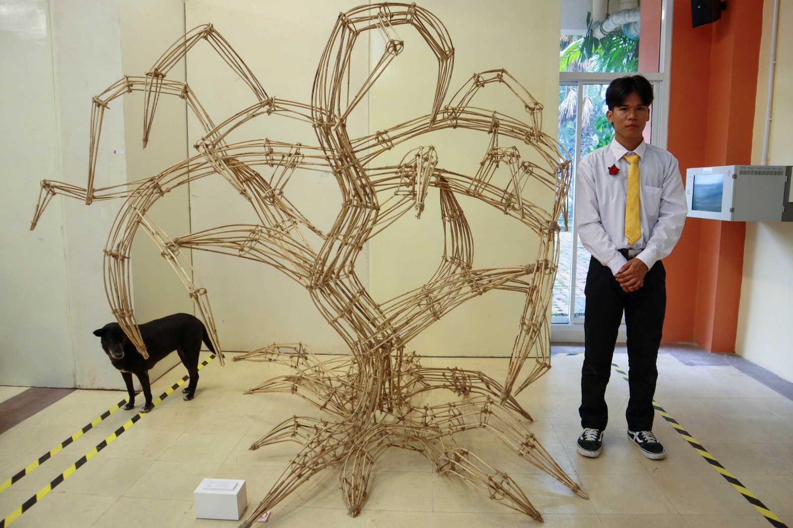 No photo description available.