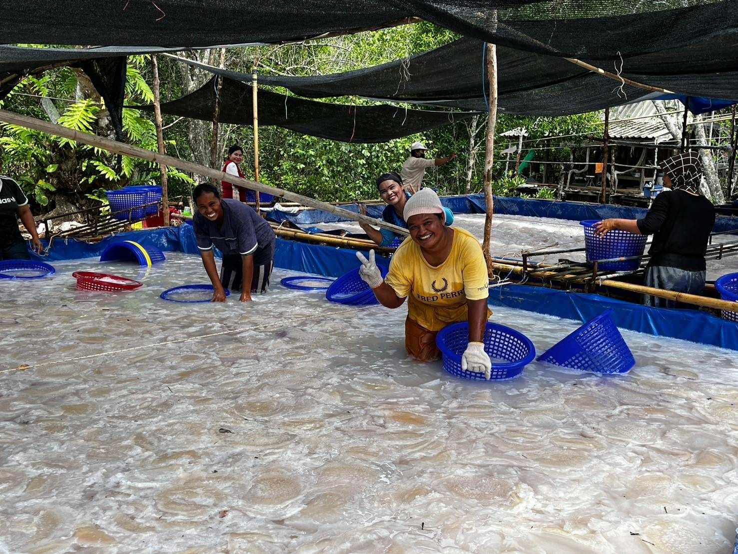 รูปภาพประกอบด้วย กลางแจ้ง, น้ำ, ต้นไม้, ล่องแพ
เนื้อหาที่สร้างโดย AI อาจไม่ถูกต้อง