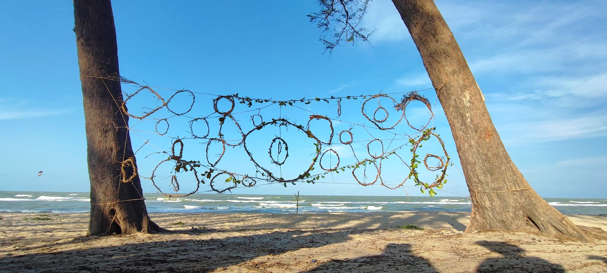 อาจเป็นรูปภาพของ ชายหาด และ ต้นไม้