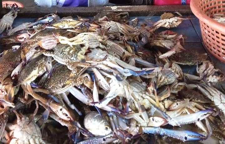 ไม่มีคำอธิบายรูปภาพ