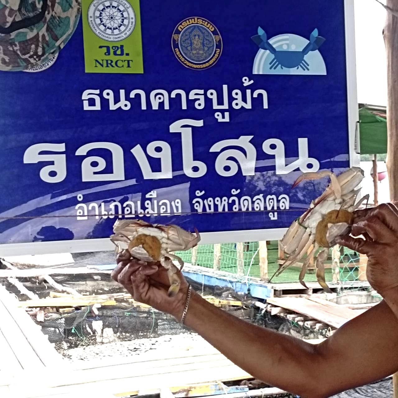 ไม่มีคำอธิบายรูปภาพ