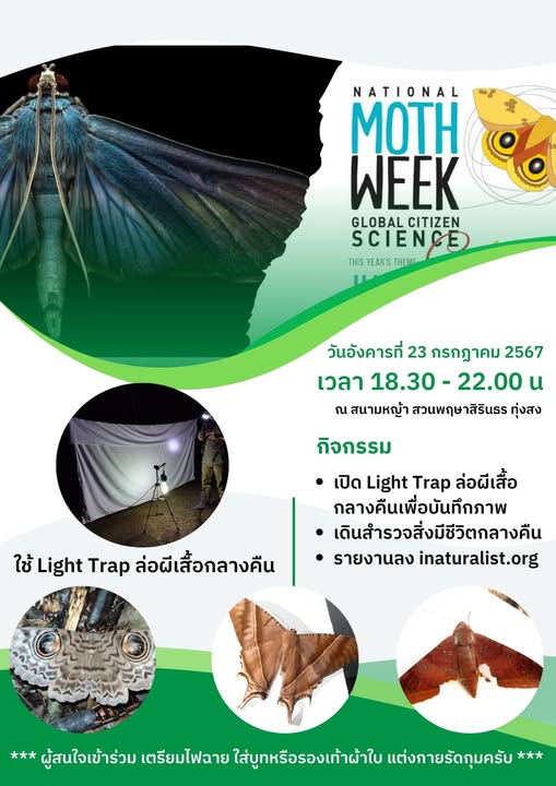 อาจเป็นรูปภาพของ ข้อความ