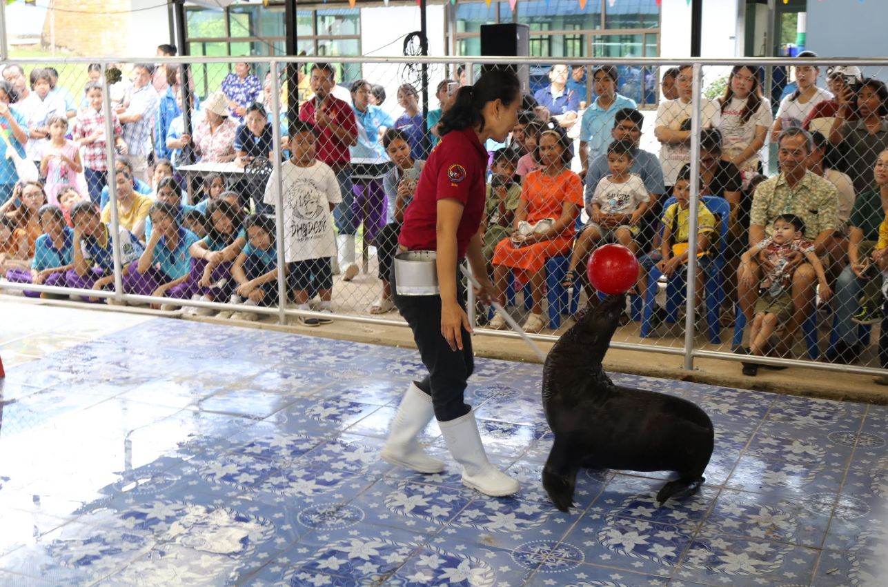 Performance News and Evidence (Part 1), 2025 RUTS Opens Lifelong Learning Resources to the Public Free of Charge in 2025: Online Certificate Courses, Libraries, an Aquarium and Online Research Resources